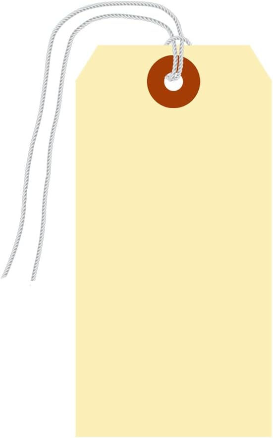 SmartSign Blank Shipping Tags with Pre-Attached Loop Strings, Size-5, Pack of 1000, 10pt Thick