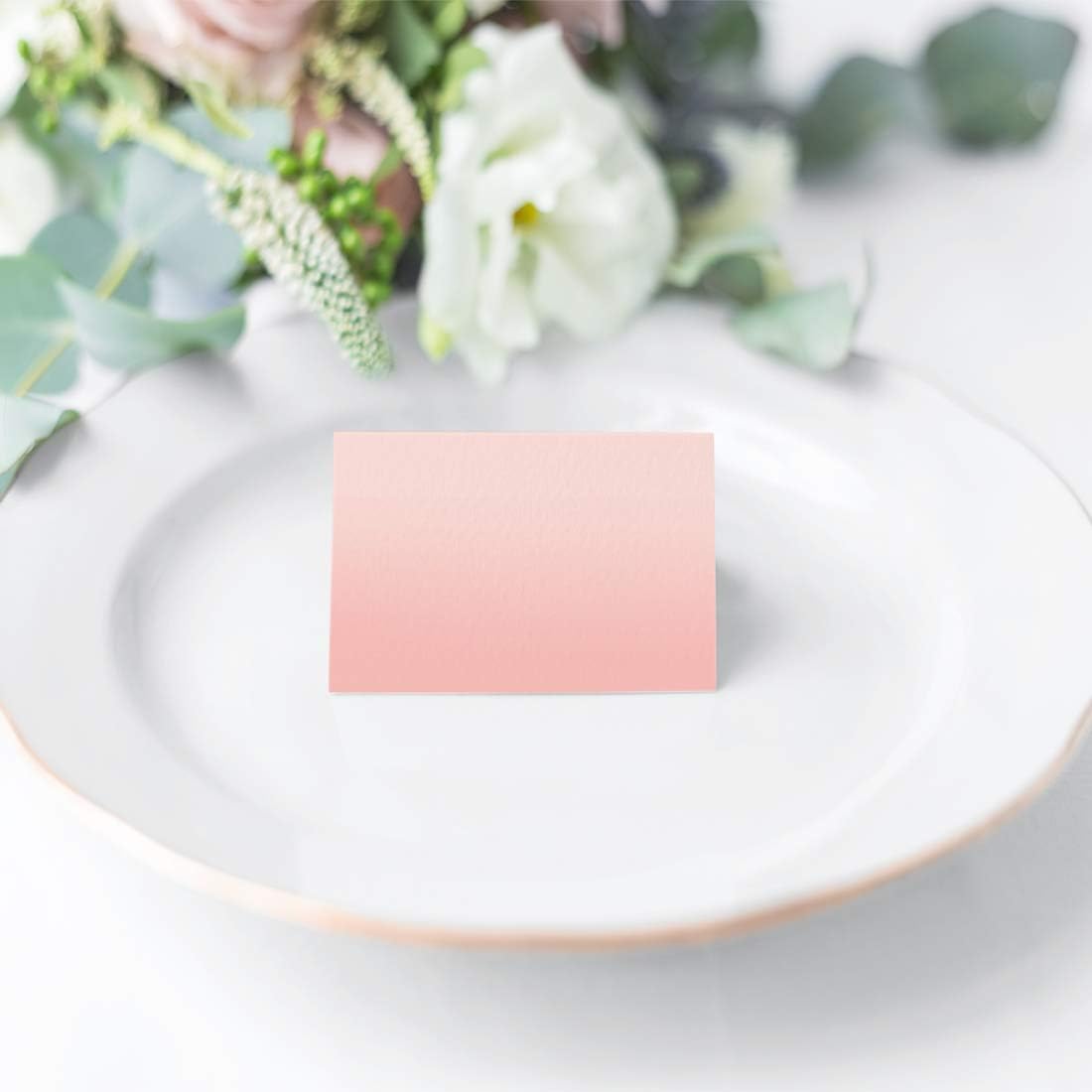Andaz Press Blush Pink Rose Elegant Party Collection, Blank Place Cards, 20-Pack, Placecards Food