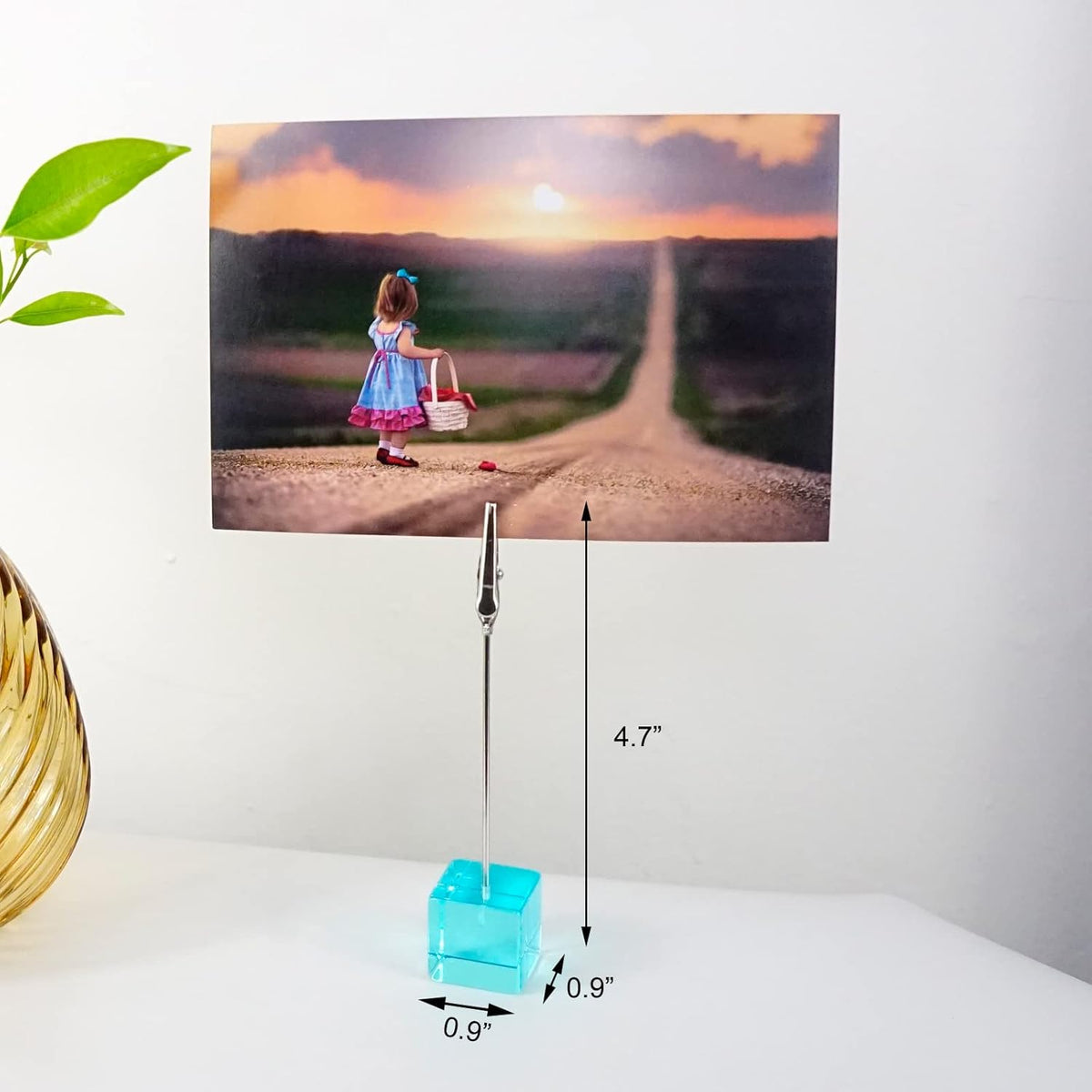 Desktop Picture Holders, 10 pcs Rainbow Colors Polaroid Photo Clip Stand for Paper Name Place Card