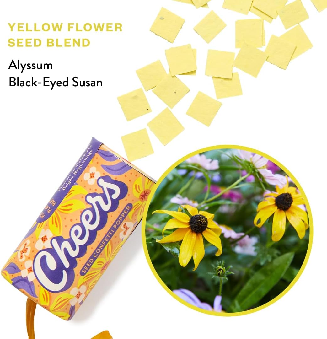 Modern Sprout Plantable Seed Paper Confetti Poppers Refill Packs (12 Pack/100pc) - Plastic-Free