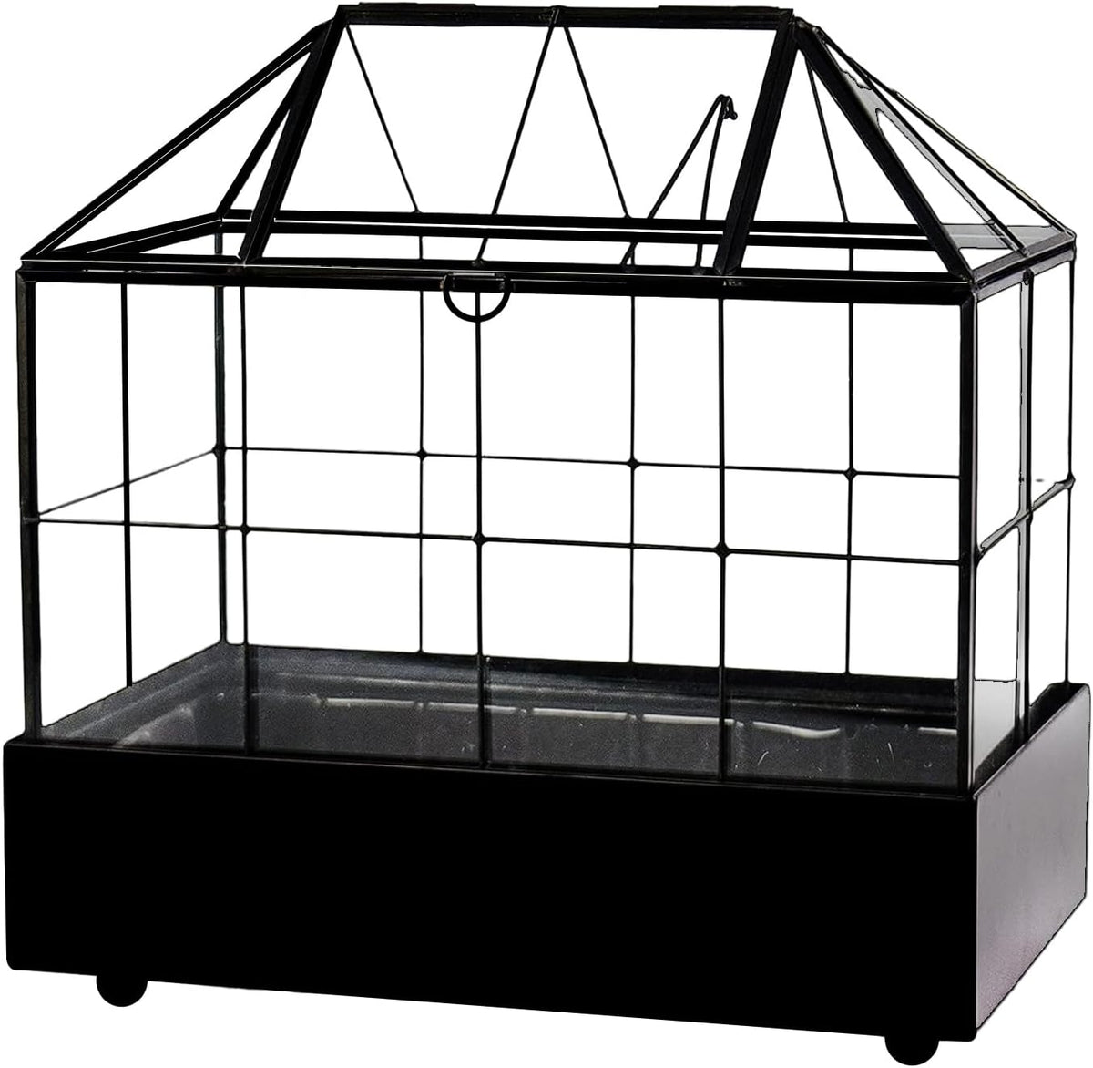 Large Tall Plant Terrarium Glass Greenhouse with Lid and Tray, Indoor Tabletop Orchid Succulent