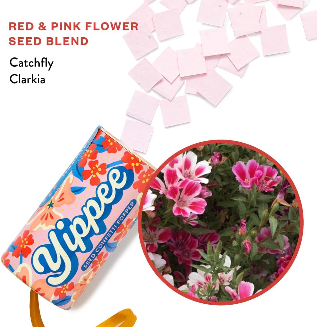 Modern Sprout Plantable Seed Paper Confetti Poppers Refill Packs (12 Pack/100pc) - Plastic-Free