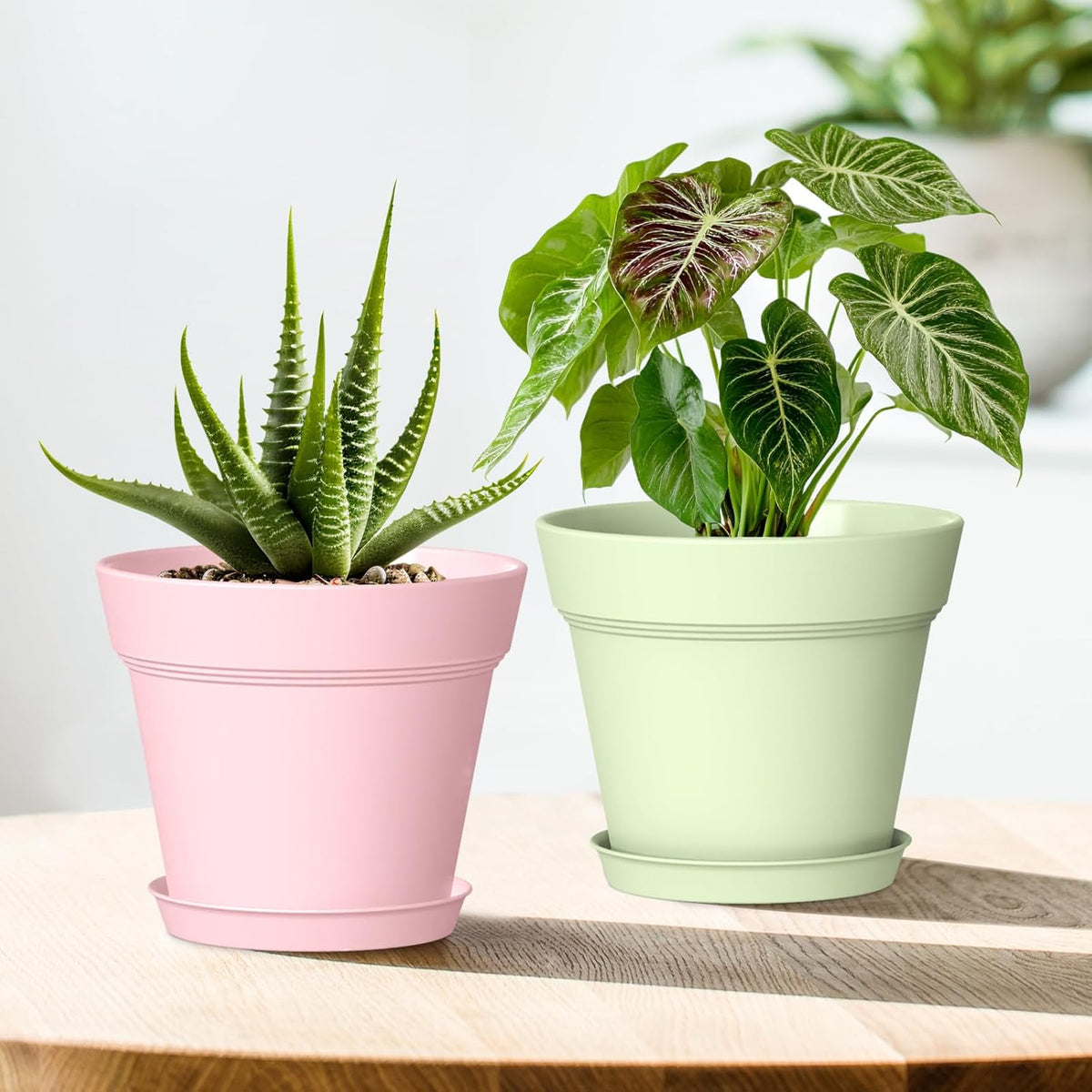 5 Inch Plastic Plant Pots with Drainage Holes and Trays – 6 Pack Small Nursery Pots for Indoor &