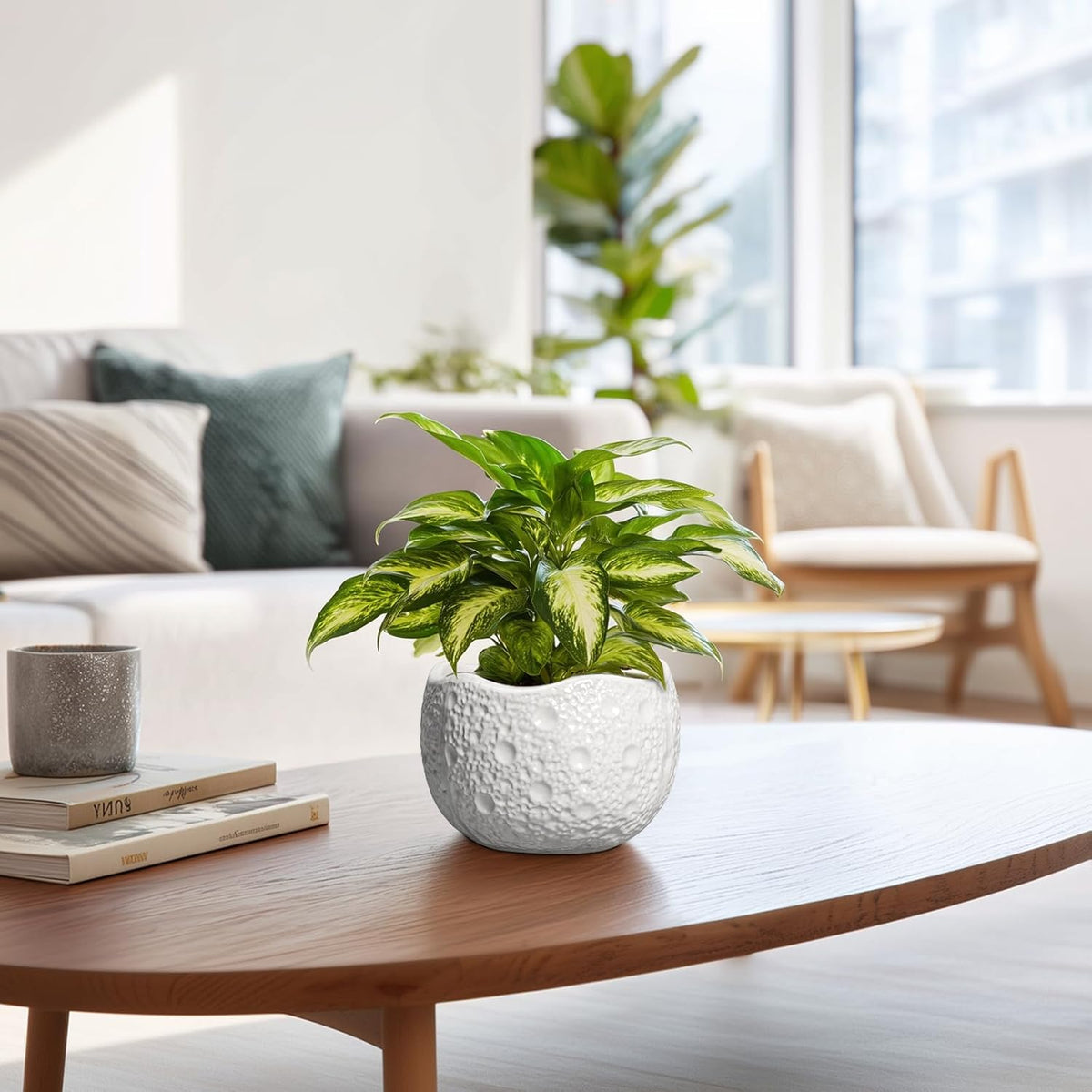 Ceramic Pots for Plants - 6 Inch Plant Pot for Indoor Outdoor, Decorative Orchid Pots with Drainage