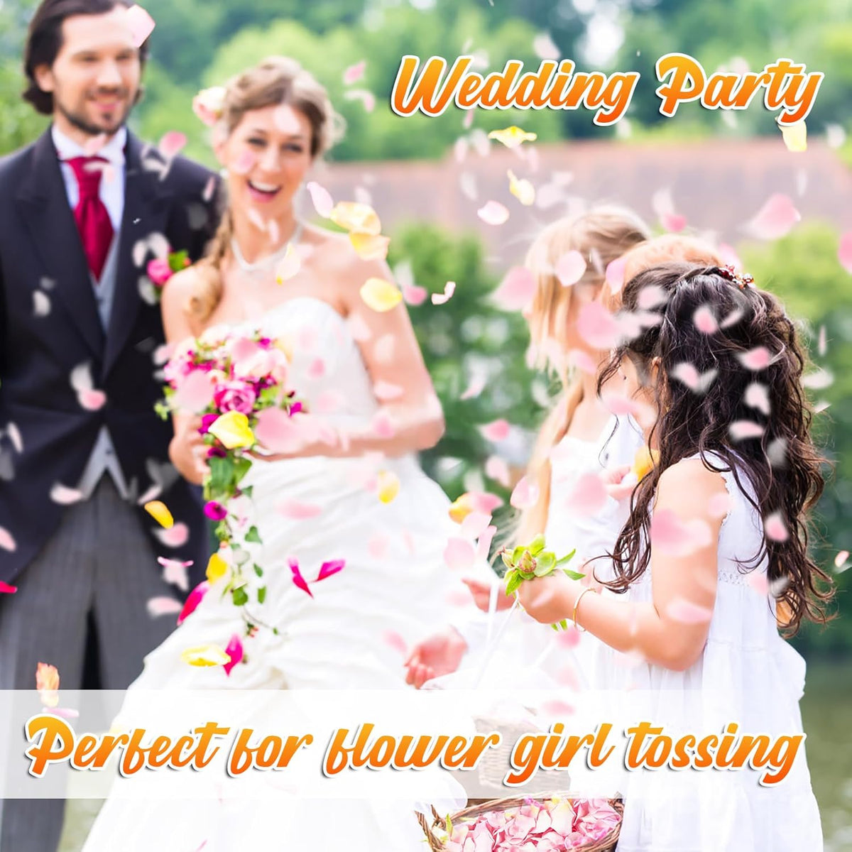 180 PCS Real Pink Dried Rose Petals Confetti for Wedding, 1.75oz Freeze Rose Petals for Romantic