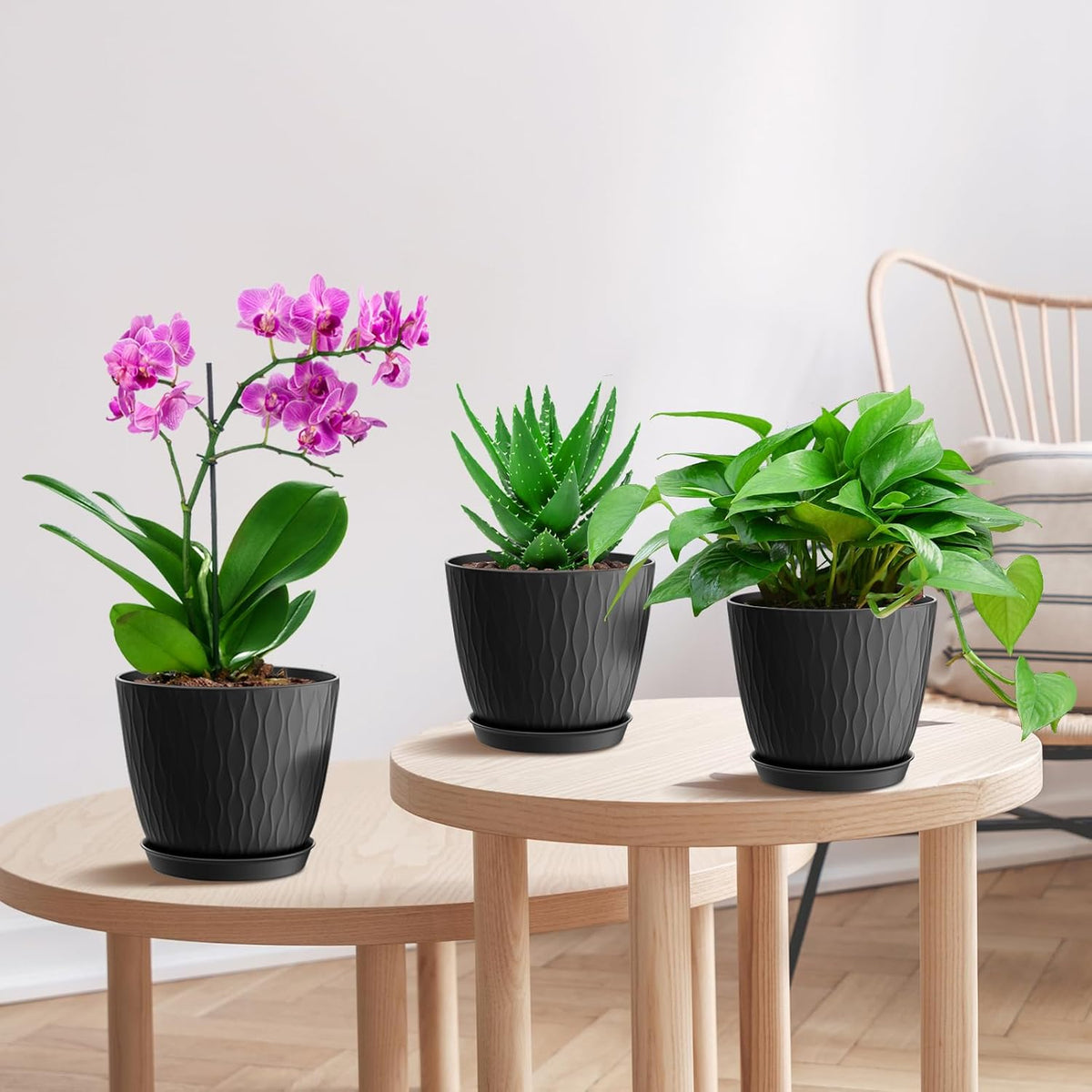 6 inch Plant Pots, 5 Pack Flower Pots with Drainage Holes and Saucers for Indoor Plants, Plastic
