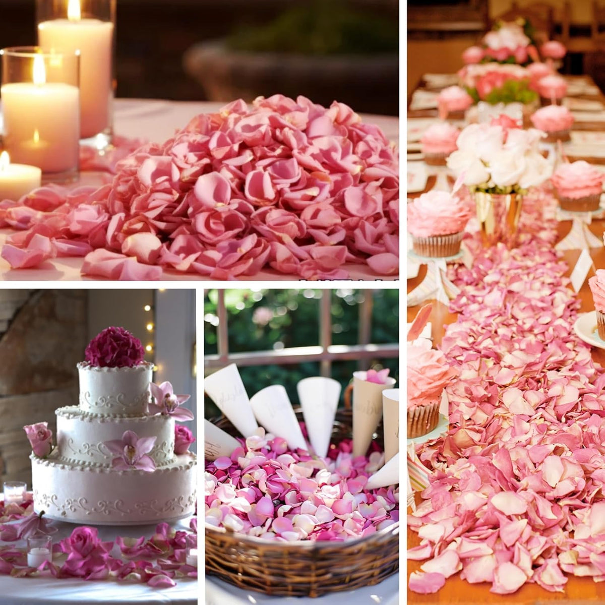 200Pcs Dried Real Pink Rose Petals, Preserved Flower Petals 1.75oz for Gifts Wedding Party Decor