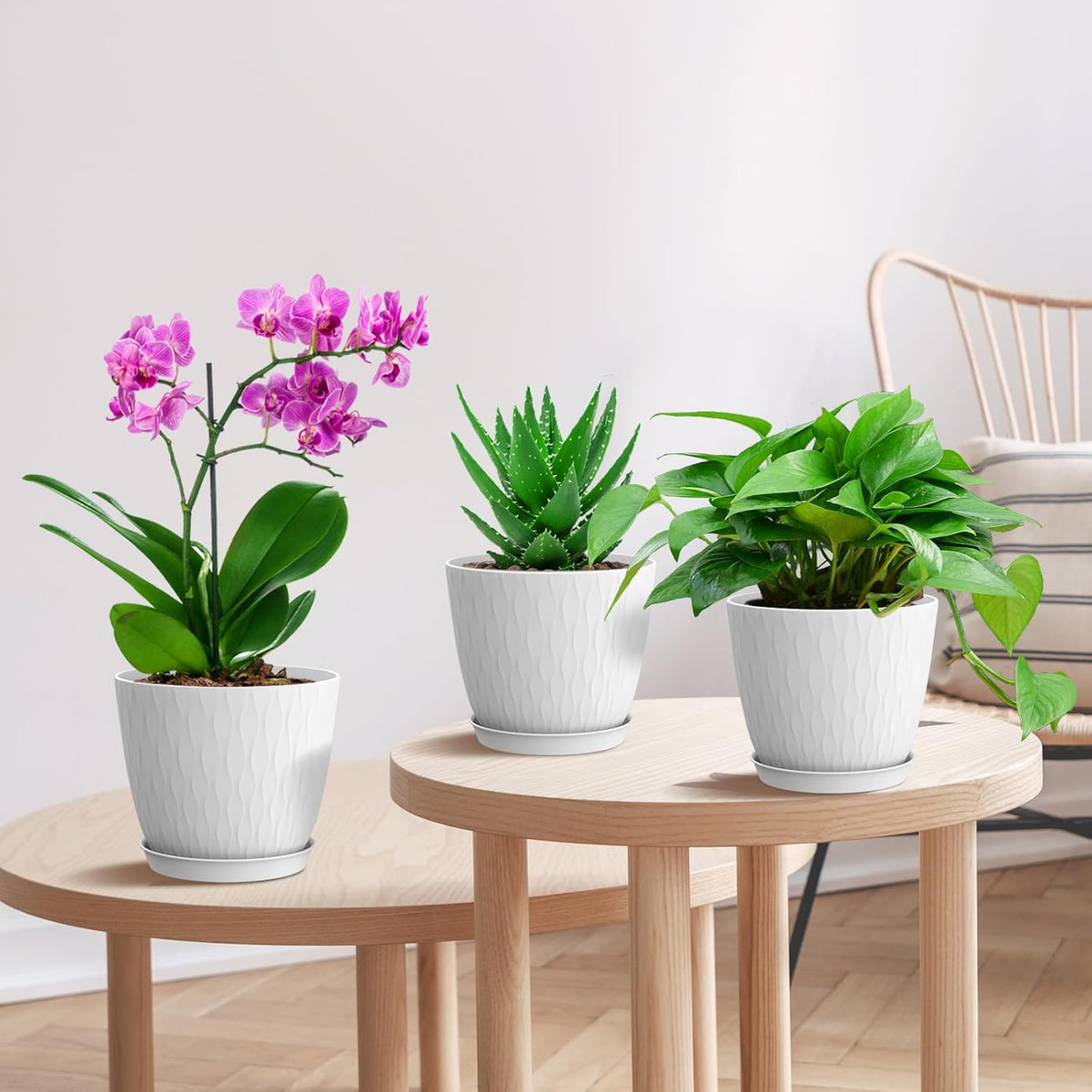 6 inch Flower Pots, 5 Pack Plant Pots with Drainage Holes and Saucers for Indoor Plants, Plastic