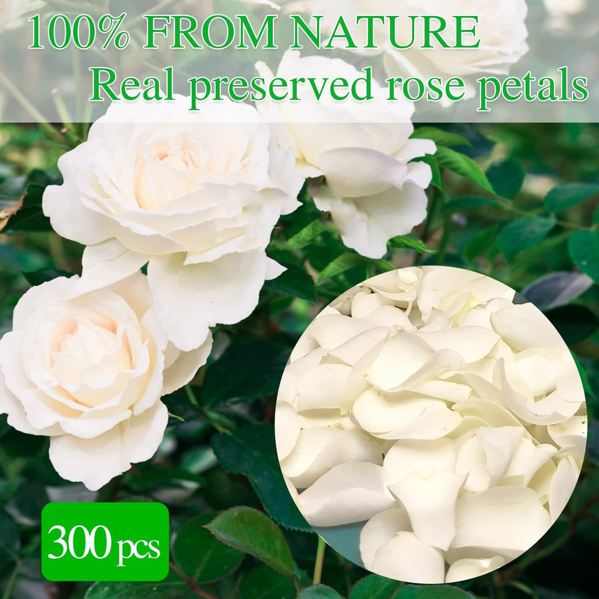 Dried Real White Rose Petals, Freeze Preserved Flower Petals 2.8 oz for Valentine's Day Gifts