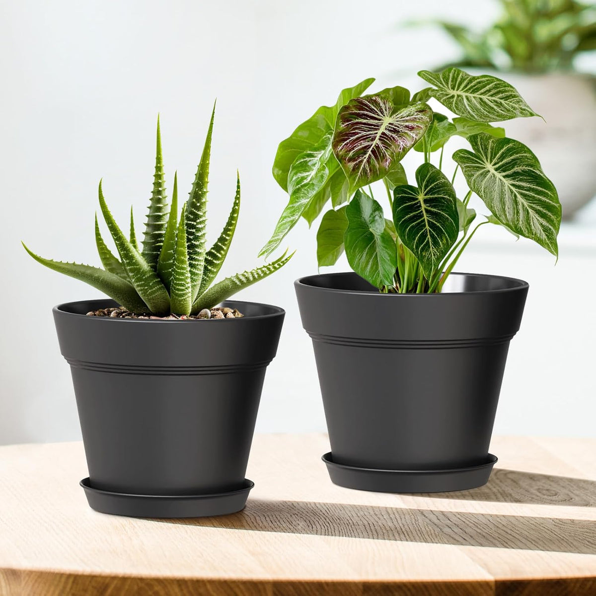 7 Inch Thick Plastic Plant Pots with Drainage Holes and Trays – 6 Pack Nursery Pots for Indoor &