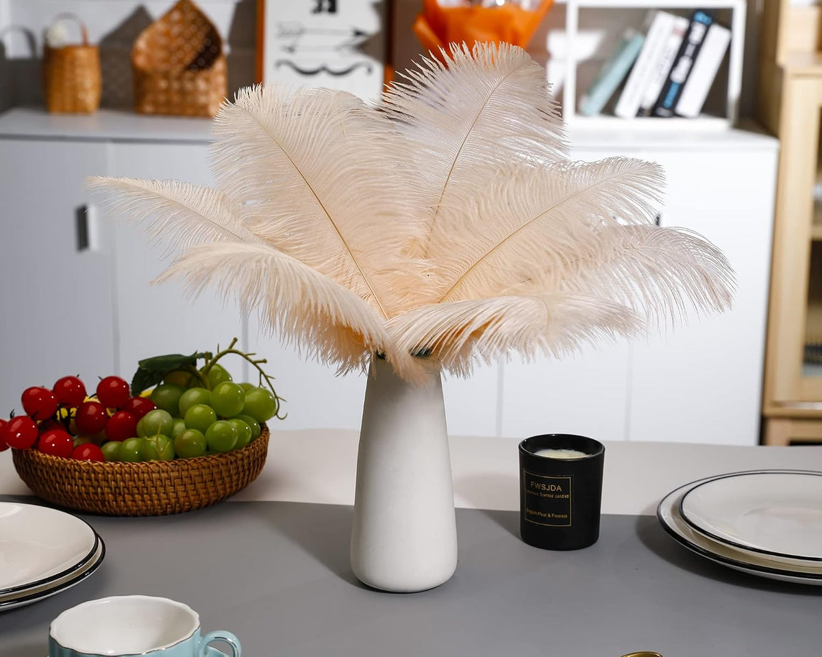 Ballinger Light Salmon Ostrich Feathers - 24pcs 8-10inch Feathers for Crafts,Wedding Party