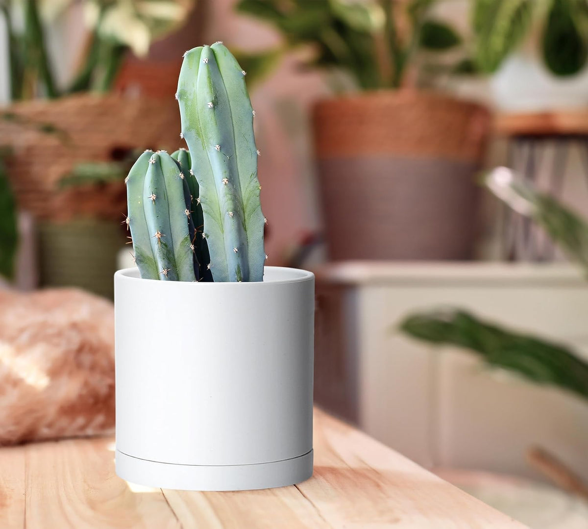 D'vine Dev 2 Pack 5.5 Inch Modern Plastic Plant Pots, Small Garden Planters for Plant with Drainage