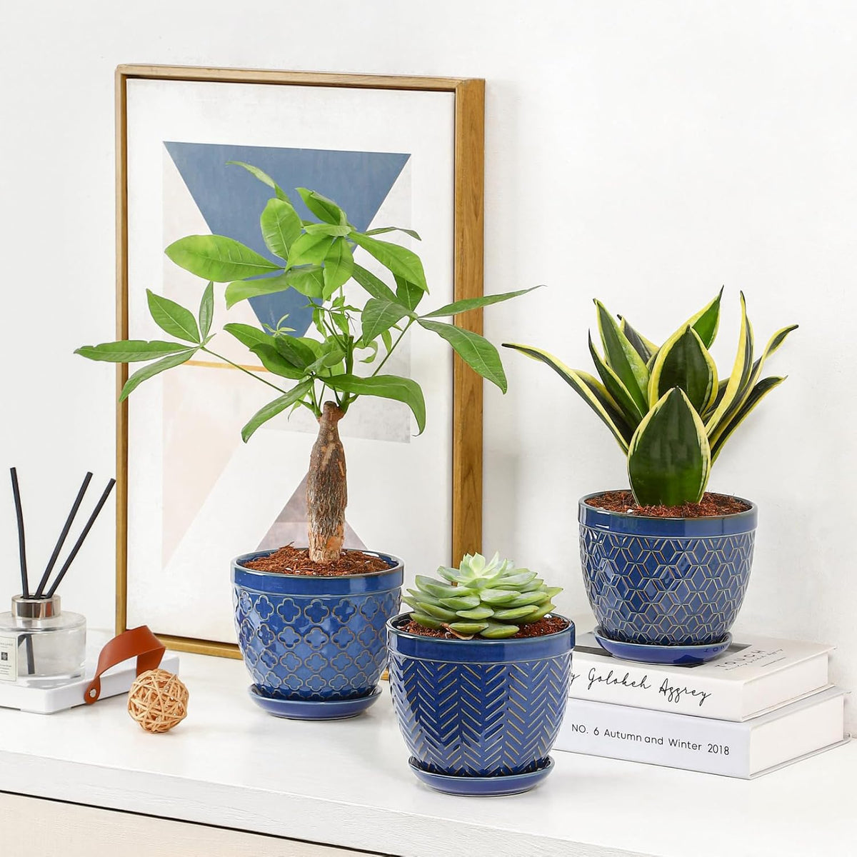 Sureasy Ceramic Indoor Plant Pots - 5.6 Inch Flower Pots for Plants with Drainage Hole and Saucer