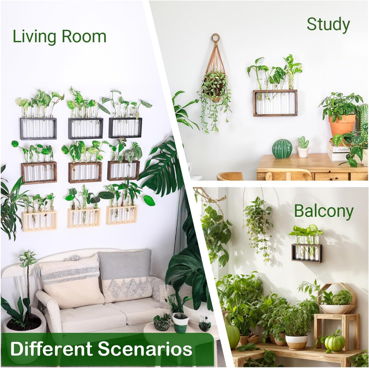 Ivolador Plant Propagation Station Terrariumin Wall Test Tube Vases Bud Tabletop Glass Wooden Stand