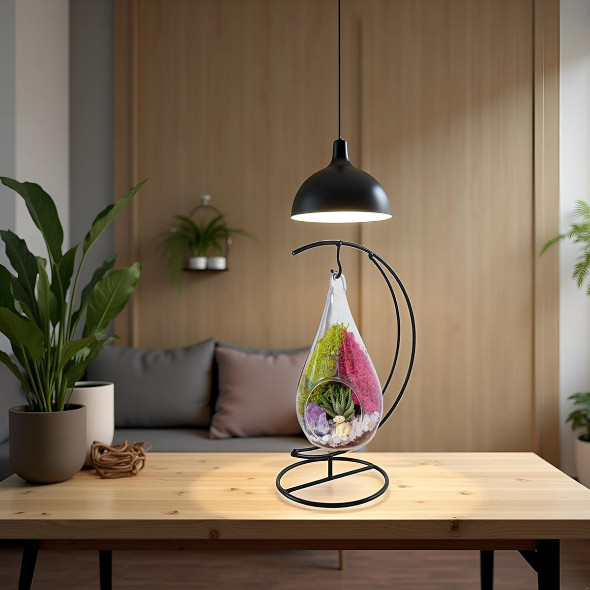 7" DIY Teardrop Terrarium Kit with Live Plants - Hanging Glass Planter with Stand for Adults & Kids