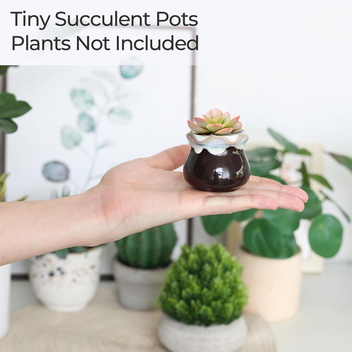 T4U Small Ceramic Succulent Pots with Drainage - Set of 12, Mini Pots for Plants, Home and Office