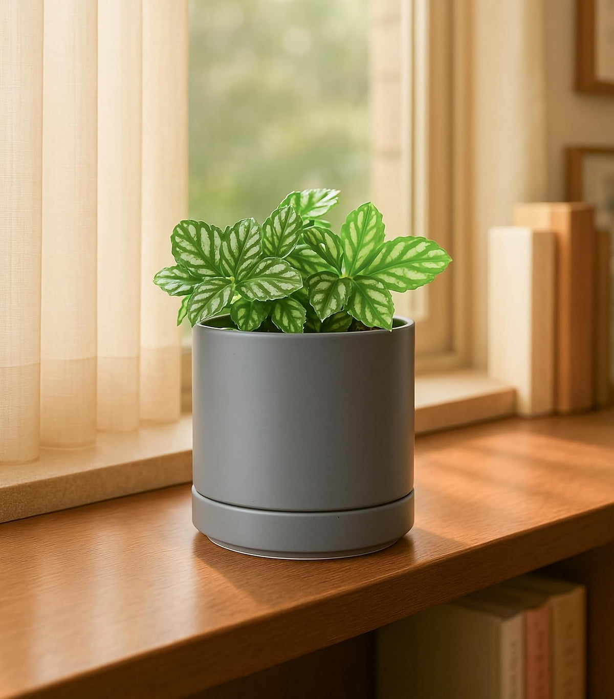 D'vine Dev Set of 4 Small Ceramic Plant Pots, 4.7 Inch Succulent Planter Pot for Plants with