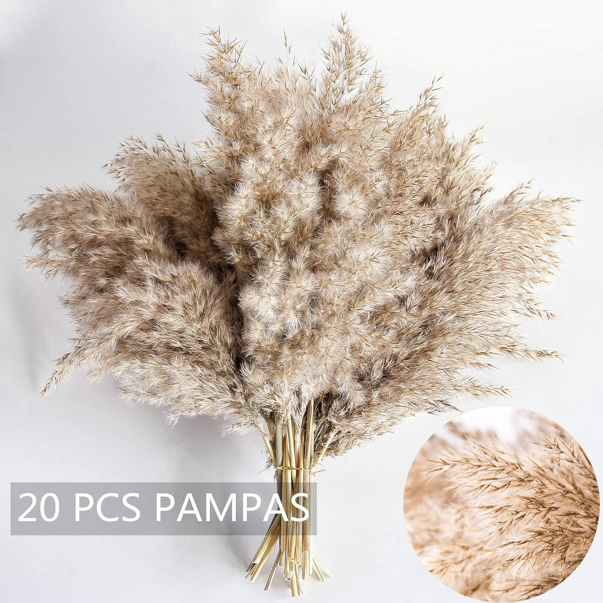 Pampas Grass Decor, Natural Dry Pampas Grass Small, Short Pampass Bulk for Farmhouse, Wall