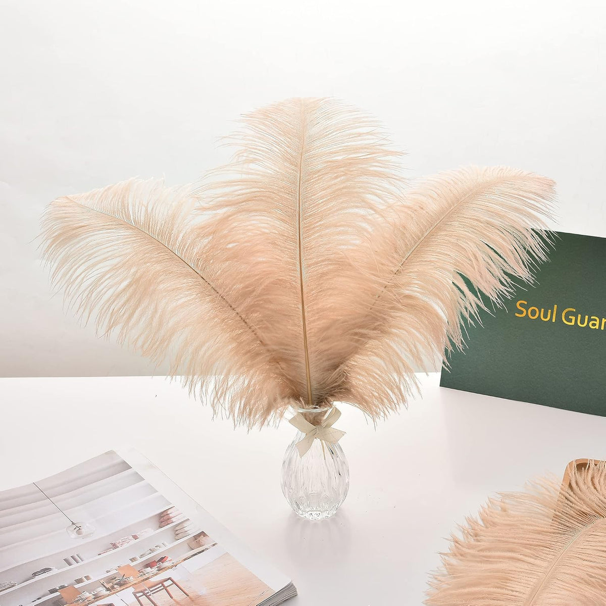 Ballinger Large Champagne Ostrich Feathers - 24pcs 12-14inch Boho Feathers for Vase and Home Decor