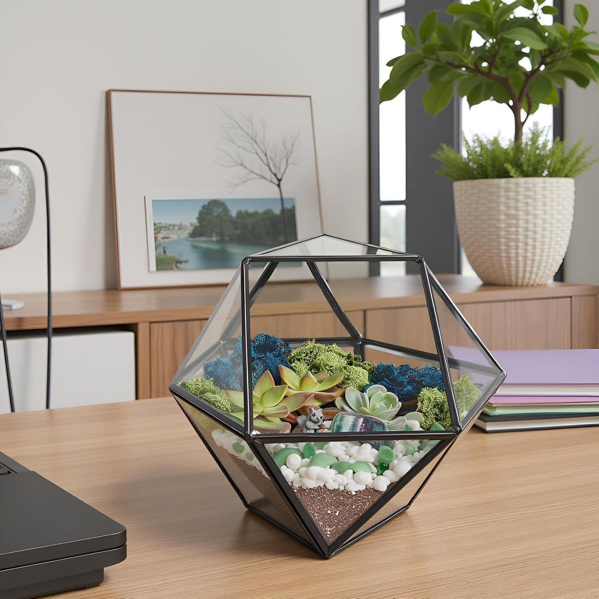 DIY 7" Geometric Terrarium Kit - Build Your Own Glass Terrarium for Adults & Kids with Moss