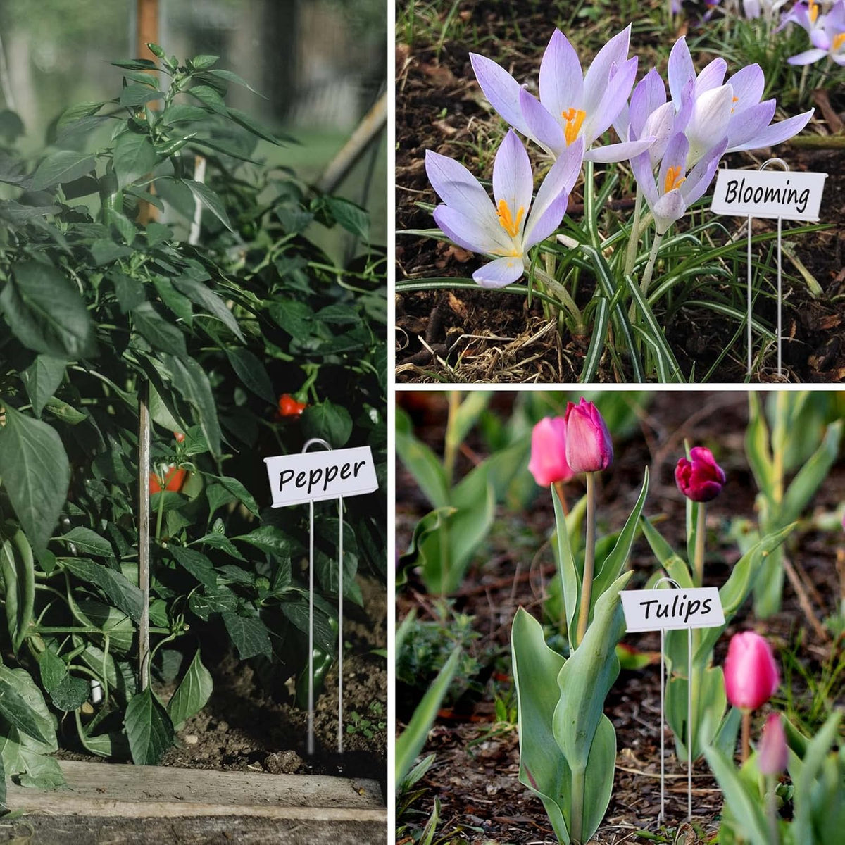 30pcs Plant Labels for Outdoor Garden Waterproof Plant Markers for Outdoor Plants, 11inch Metal