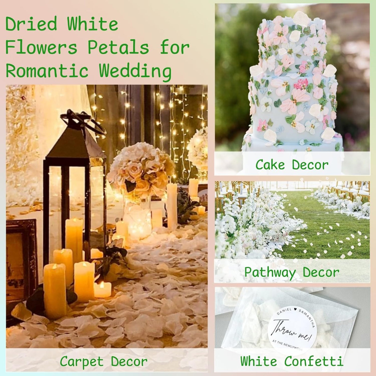 3000+Pcs Real Ivory White Dried Hydrangea Flower Petals - 100% Natural Creamy White Flower Petals