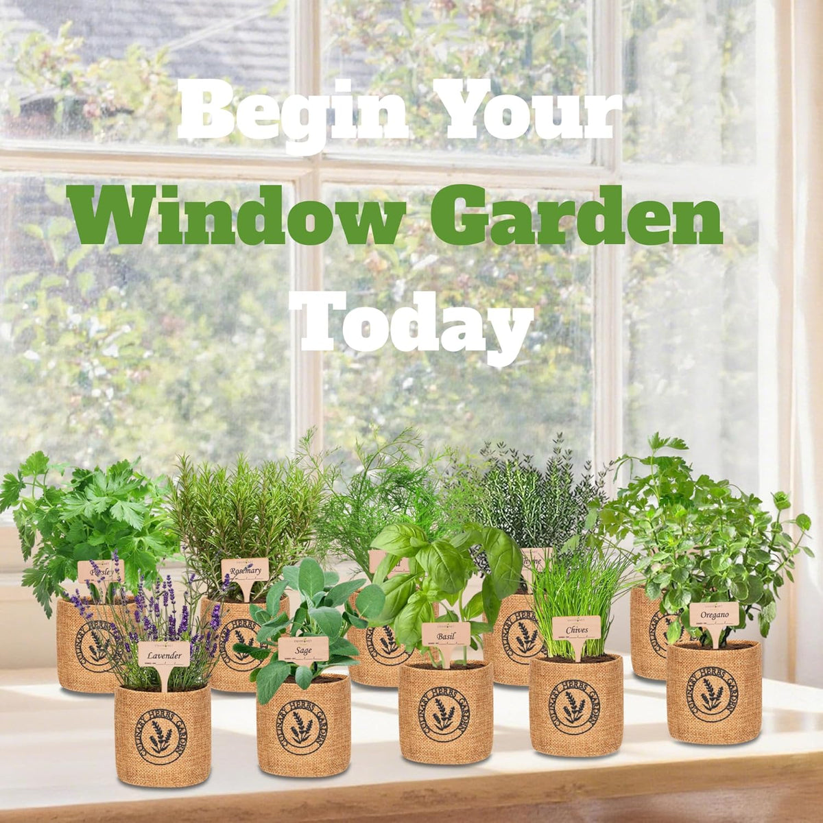 10 Indoor Herb Garden Kit- Burlap Pots, Organic Seeds, Herb Garden Planter Indoor Kit, Easy Window
