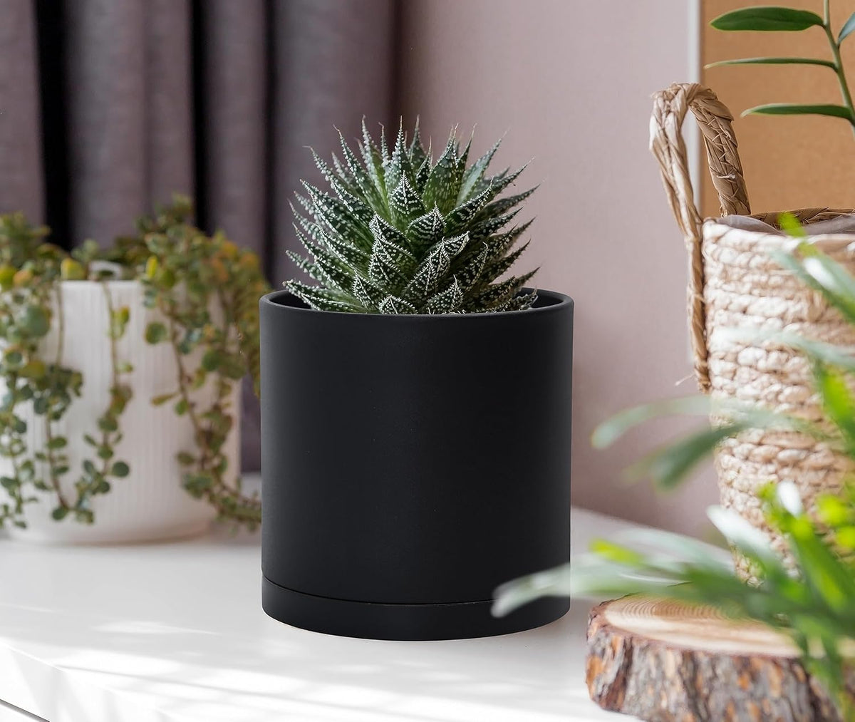 D'vine Dev 6 Pack 4 Inch Modern Plastic Plant Pots, Small Garden Planters for Plant with Drainage