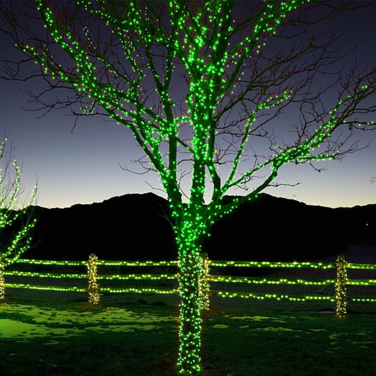 300 LED St Patricks Day Lights, 98.5FT Christmas String Lights with 8 Lighting Modes, Waterproof &