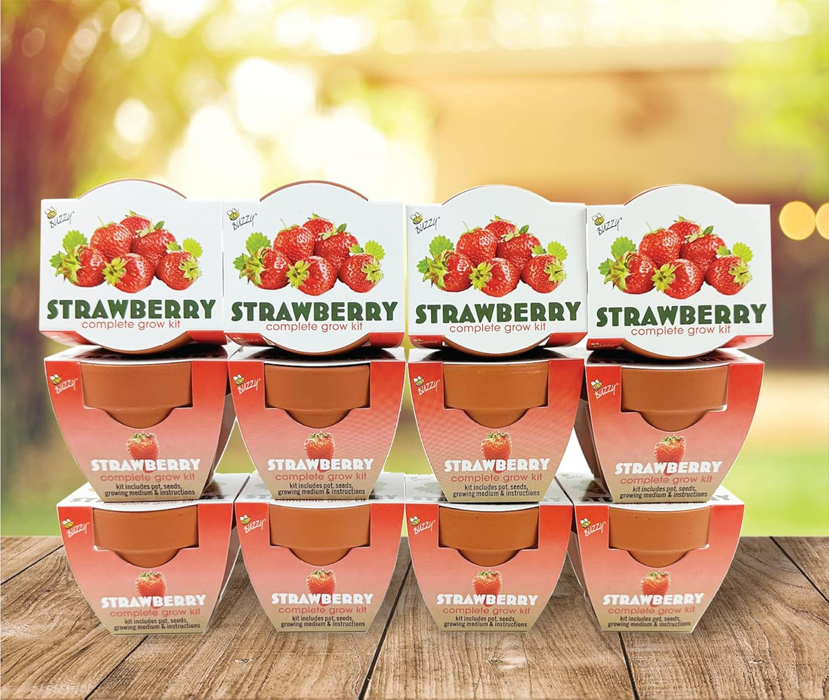 BUZZY Seeds Mini Terracotta Grow Pots | Alpine Strawberry DIY Plant Kit for Kids & Adults | 12-Pack