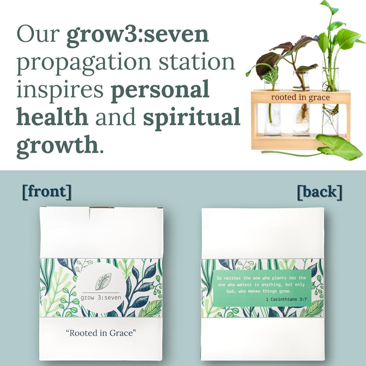 Rooted in Grace: Plant Propagation Stations: Plant Cutting Holder w/ 3 Glass Propagation Vases