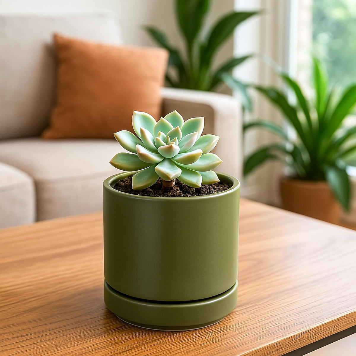 D'vine Dev Set of 4 Small Ceramic Plant Pots, 4.7 Inch Succulent Planter Pot for Plants with