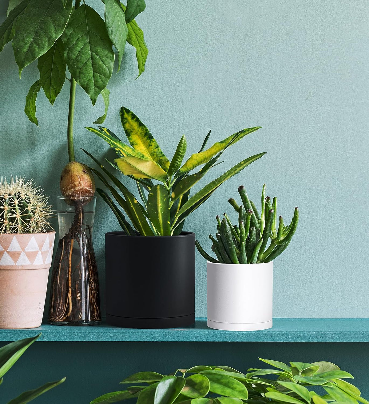 D'vine Dev 6 Pack 4.5 Inch Modern Plastic Plant Pots, Small Garden Planters for Plant with Drainage