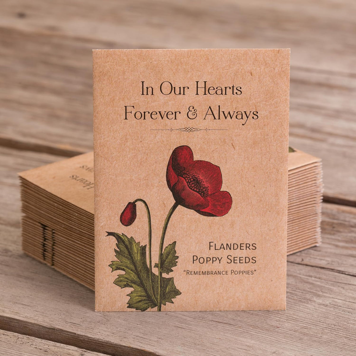 Bentley Seed Co. | Celebration of Life Funeral Favors for Guests | Non-GMO, Non-Coated Flanders