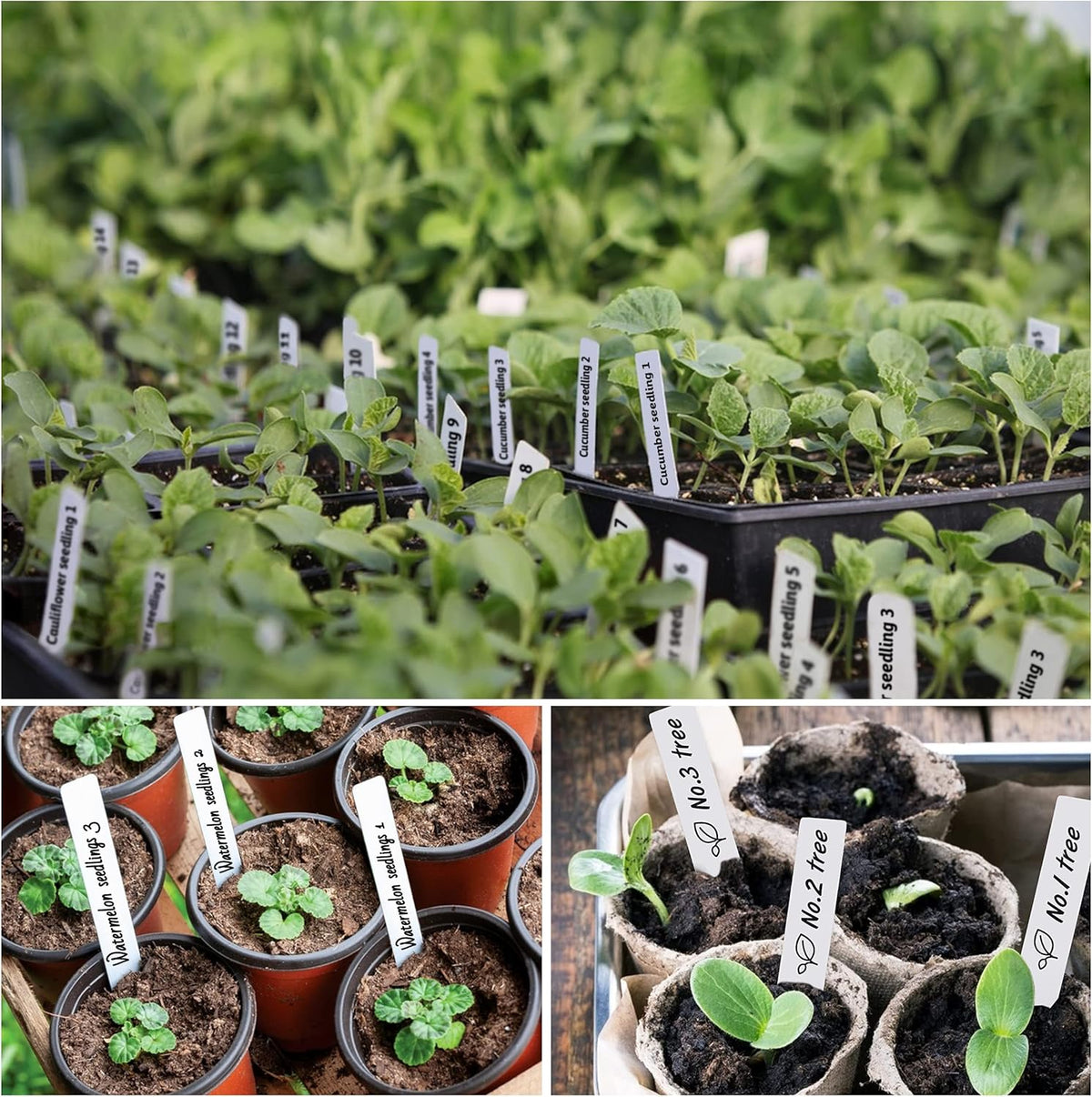 Plant Labels 4 Inch 300Pcs Plastic Plant Name Tags for Seedlings Garden Labels Markers Nursery