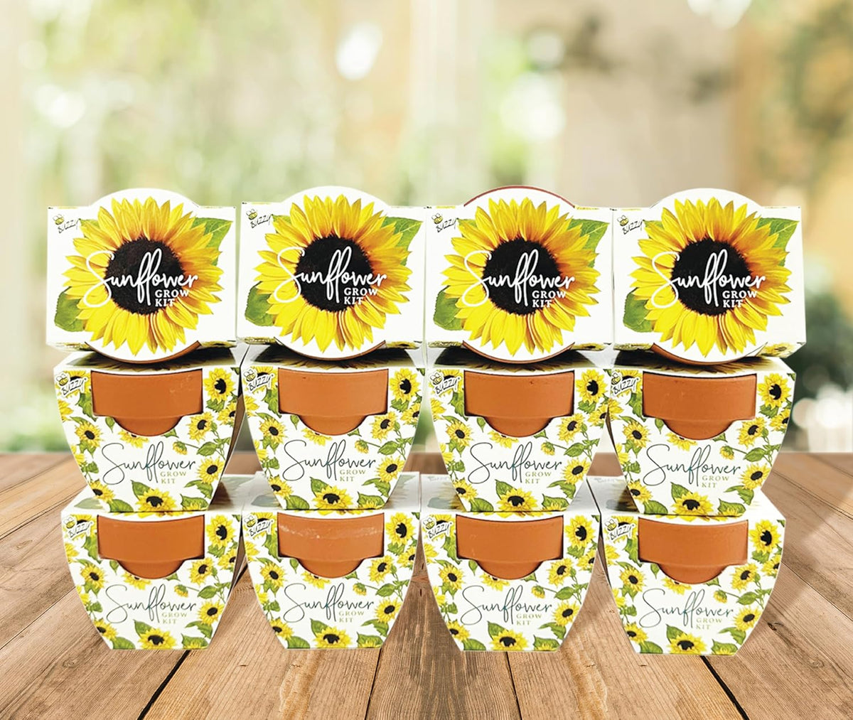 BUZZY Seeds All-in-One Sunflower Mini Terracotta Pot Grow Kits 12-Pack, Indoor Mini Garden Seed