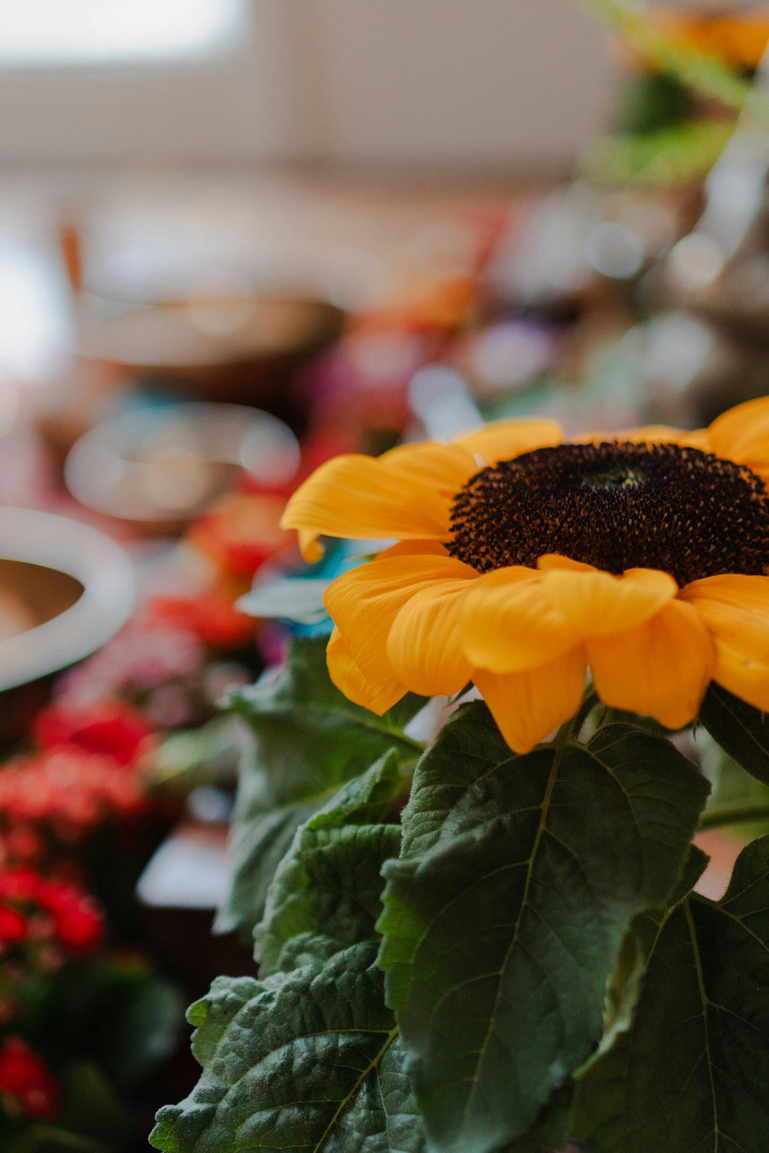 How to Throw an Instagram-Worthy Birthday Party
