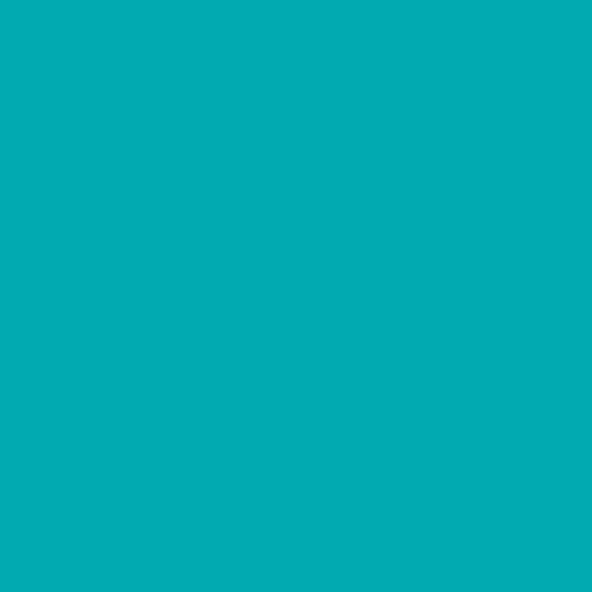 Jillson Roberts 6 Roll-Count All-Occasion Solid Color Gift Wrap Available in 10 Different