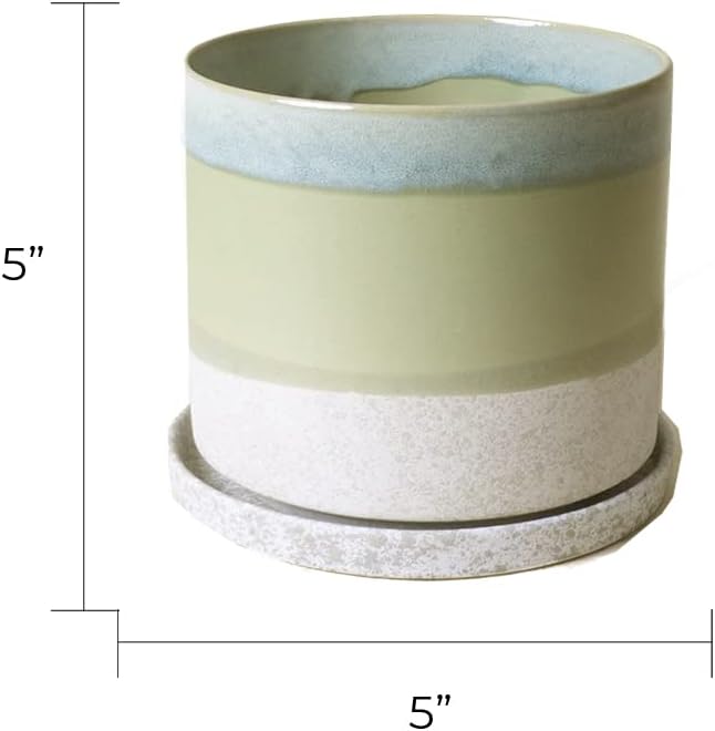 CHIVE ‘Minute’ Ceramic Planter Pot — Cute 5” Colorful Succulent Pots for Indoor & Outdoor House