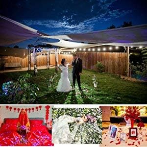 ocharzy 1000pcs Rose Petals Artificial Silk Flower Rose Petals for Wedding Decorations, Romantic