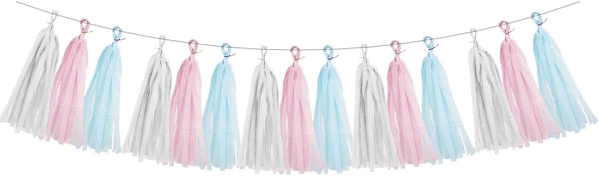 Gender Reveal Decorations Blue Pink - 15pcs Tissue Paper Tassel Garland Baby Gender Reveal Party