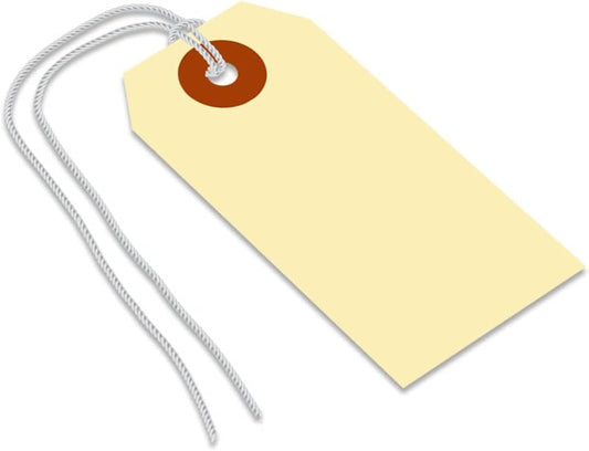 SmartSign Blank Shipping Tags with Pre-attached Loop Strings, Size-2, Pack of 1000, 10pt thick