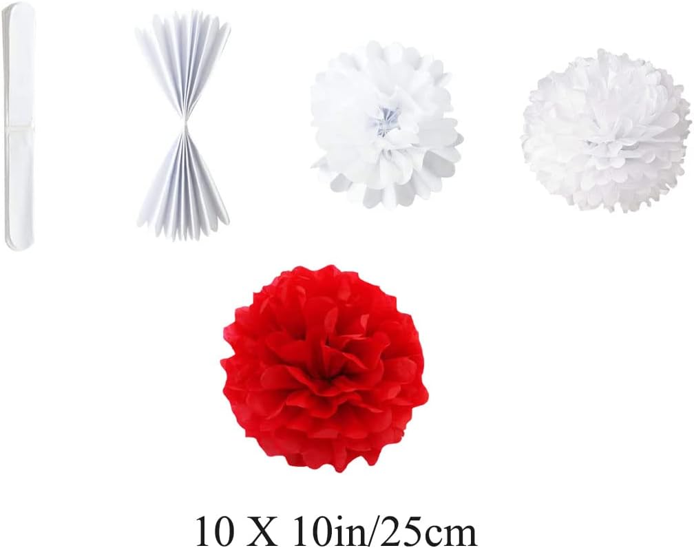 10in Paper Pom Poms - Red Tissue Paper Flower Hanging Balls - Wedding Party Decorations - DIY Art