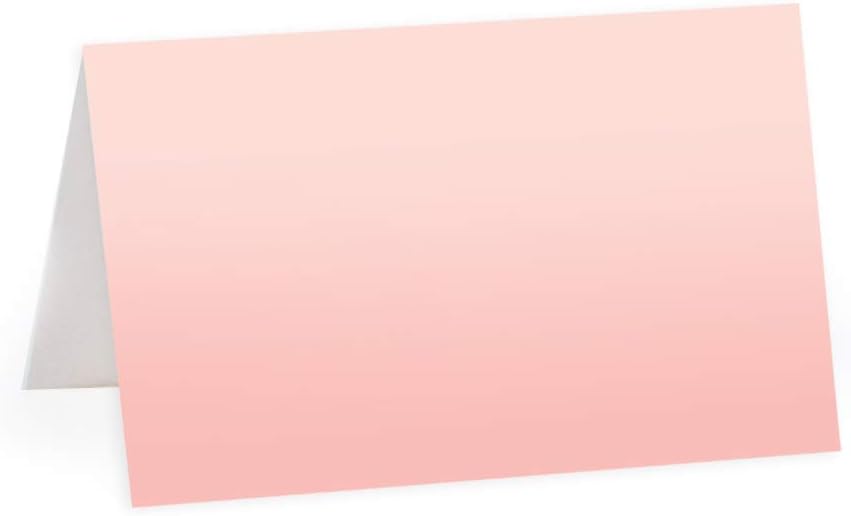 Andaz Press Blush Pink Rose Elegant Party Collection, Blank Place Cards, 20-Pack, Placecards Food