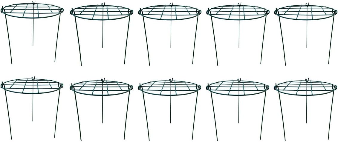 12 x 16 inch Poeny Cage Grow Through Grid Plant Brace Flower Support Rings, Pack of 10 Round Metal