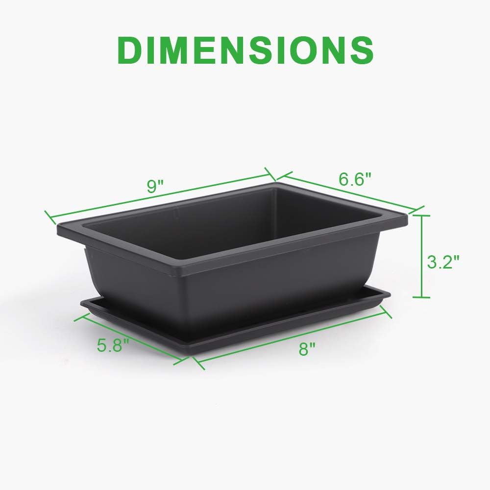 GROWNEER Bonsai Training Pots 3 Packs 9Inch with Drainage Humidity Trays, Bonsai Tree Starter Kits