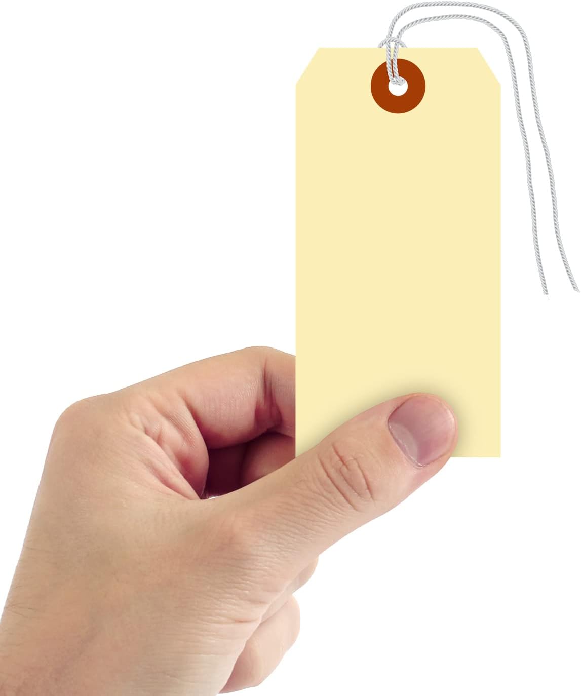 SmartSign Blank Shipping Tags with Pre-Attached Loop Strings, Size-5, Pack of 1000, 10pt Thick