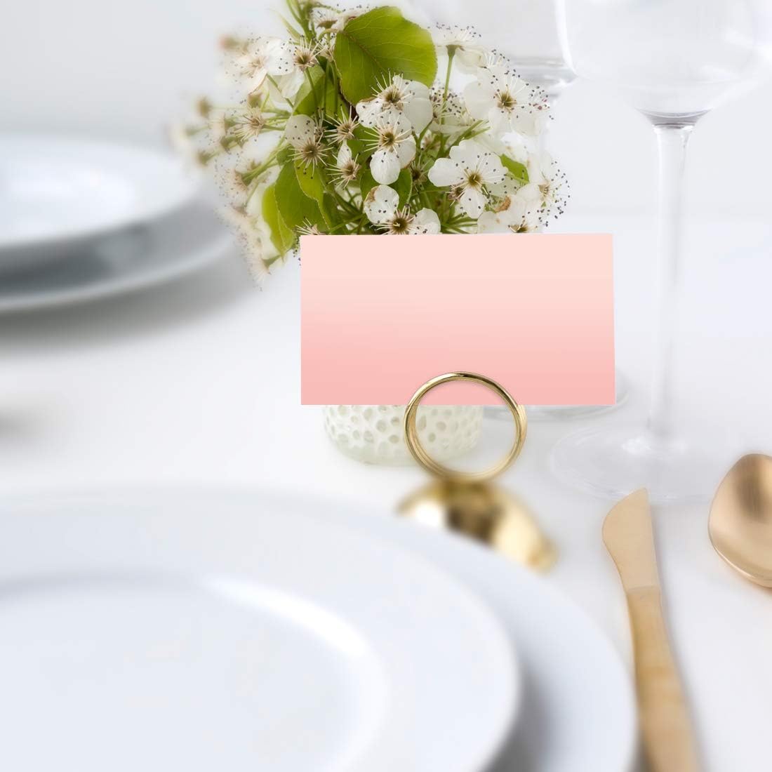 Andaz Press Blush Pink Rose Elegant Party Collection, Blank Place Cards, 20-Pack, Placecards Food
