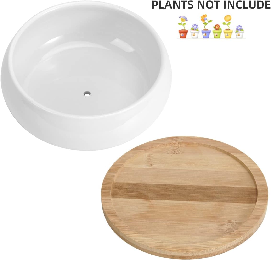 ZOUTOG 2 Pack Succulent Pots, 6 inch Ceramic Planters for Indoor Plants with Bamboo Tray, Pots with