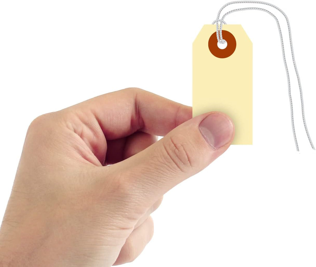 SmartSign Blank Shipping Tags with Pre-Attached Loop Strings, Size-1, Pack of 1000, 10pt Thick